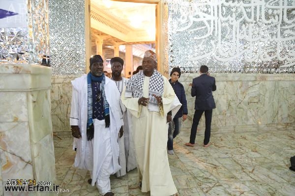 گزارش تصویری/ زیارت حرم حضرت معصومه(س) توسط اعضای هیئت طریقه تیجانیه سنگال
